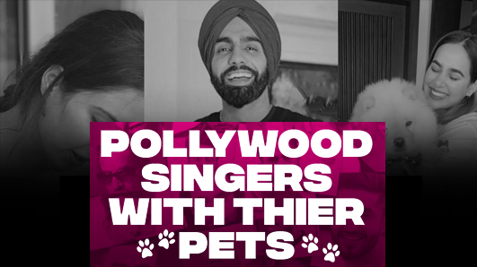 Pollywood Singes With Their Pets thumbnail