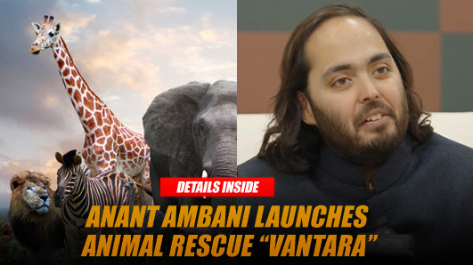 Anant Ambani Launches Animal Rescue Vantara