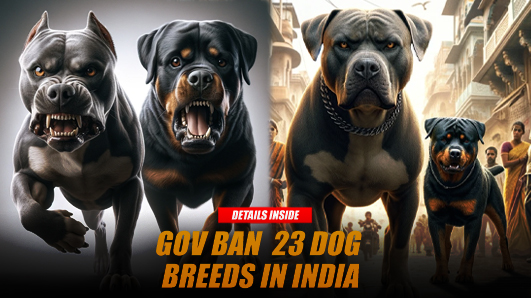 gov ban 23 dog breeds in India
